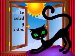 Résultat de recherche d'images pour "soleil et chat"