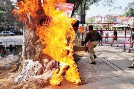 Image result for Images self immolation