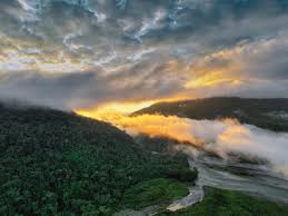 Mongabay - News update