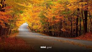 تقویم آبان 1404