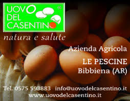 Corriere di Maremma - News update