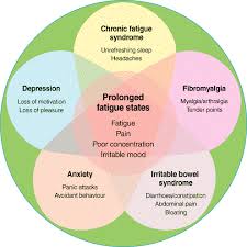 Image result for chronic fatigue