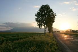 Hasil gambar untuk The Journey