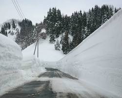 十日町市 雪景色の画像