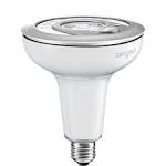 Sengled Snap Lightbulb Is a Security Camera - Consumer Reports