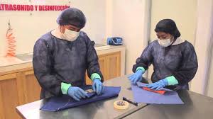 Resultado de imagen para CEyE