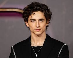 Image of Timothee Chalamet, actor