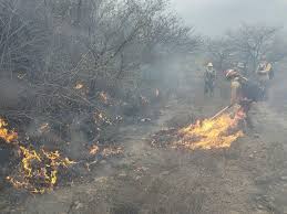 Reportan incendio forestal en paraje del Bosque de La Primavera