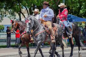 Things to do | July 2-4: Fourth of July festivities, baseball and more