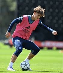 Daily Cannon - News update