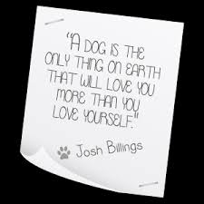 Companion Pet Quotes. QuotesGram via Relatably.com