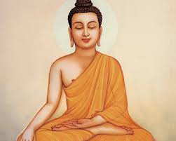 Afbeeldingsresultaat voor situ harns