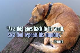 inspirational-quote-dog-fool-proverb.jpg via Relatably.com