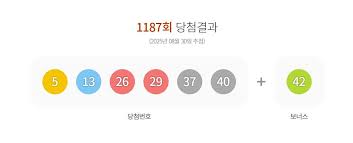 뉴스1 - News update