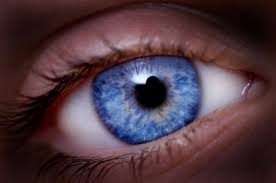 Image result for blue eyes pecola