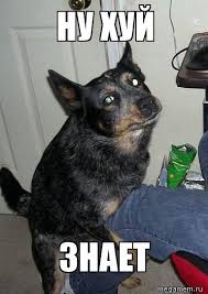 images?q=tbn:ANd9GcQULnNhsAF-e5K58DlzMjfQ-wfDIOLZF2aQJ3ouem5XVuU414u-rg