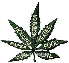 Resultado de imagen de Legalization