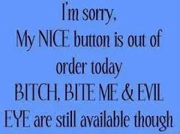 I&#39;m sorry, my nice button is out of order today bitch, bite me ... via Relatably.com