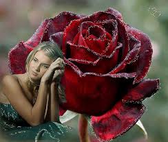 Résultat de recherche d'images pour "tu es une amie formidable"