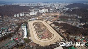 경마공원 아이콘