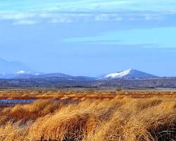 Image of Tulare Lake National Wildlife Refuge