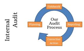 Slikovni rezultat za recommendation internal audit
