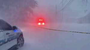 Power Lines Downed as Heavy Snow Hits Massachusetts