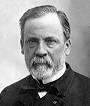 Louis Pasteur - , the free encyclopedia