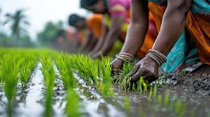 PM Kisan Yojana: किन किसानों के खाते में नहीं आएगी इस बार 20वीं किस्त? जानिए यहां
