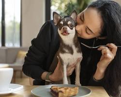 dog and owner eating at a cafeの画像