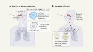 Navigating the Initial Interaction with SARS-CoV-2: An Exploration of Immune Responses and COVID Susceptibility - 1