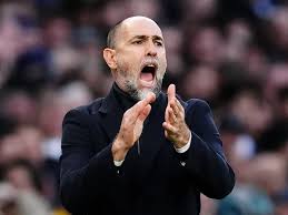 fulham vs tottenham 아이콘