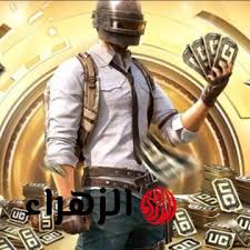 بوابة الزهراء - News update