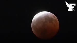 Espagne, Californie, Sénégal… Le tour du monde en images d’une impressionnante éclipse lunaire partielle — Le Figaro
