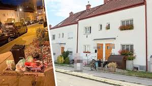 Trend Google: krone