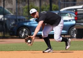 DJ LeMahieu's Return to Yankees Delayed by Weather