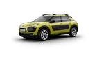 New Citron C4 Cactus - Home - Citron South