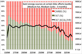 Résultat de recherche d'images pour "fat triathlete"