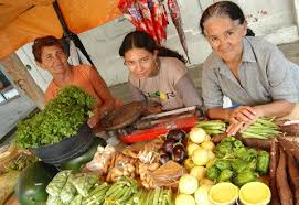 Resultado de imagem para Agricultores familiares