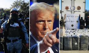 México no combate estructura financiera de cárteles: “CJNG, monstruo de muchas cabezas”