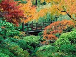 Image result for pictures gallery for amazing places of the world
