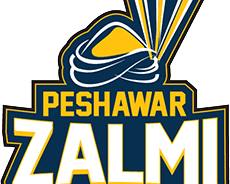 Image of Peshawar Zalmi team logo