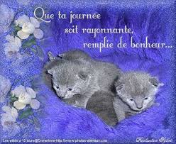 Résultat de recherche d'images pour "phrase gentille as ton amie (animaux)"