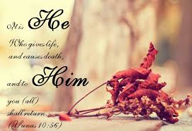 Quotes On Life And Death In Islam - quotes on life and death in ... via Relatably.com