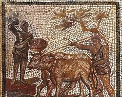 Image of Roman livestock ancient farm animals