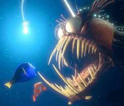 Image result for polite deep sea fish