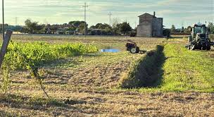 Trend Google: agricoltore