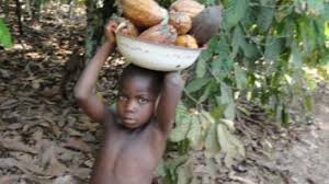 Αποτέλεσμα εικόνας για παιδικη εργασια ΚΑΚΑΟ