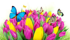 Resultado de imagem para primavera