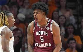 Arkansas Basketball Lands South Carolina Transfer Big Man Nick Pringle